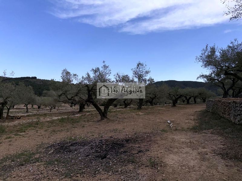 Foto a9f836c3-9d77-4184-9a99-d406cd97848c. Masia a Bítem Tortosa