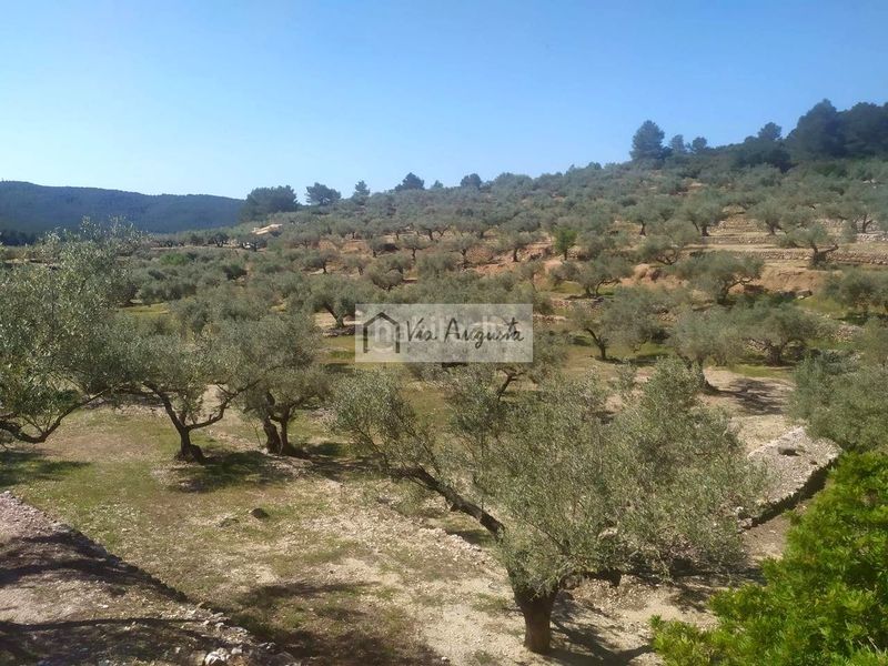 Foto b42a1b69-2765-419f-b538-c35dcc008e26. Masia a Bítem Tortosa