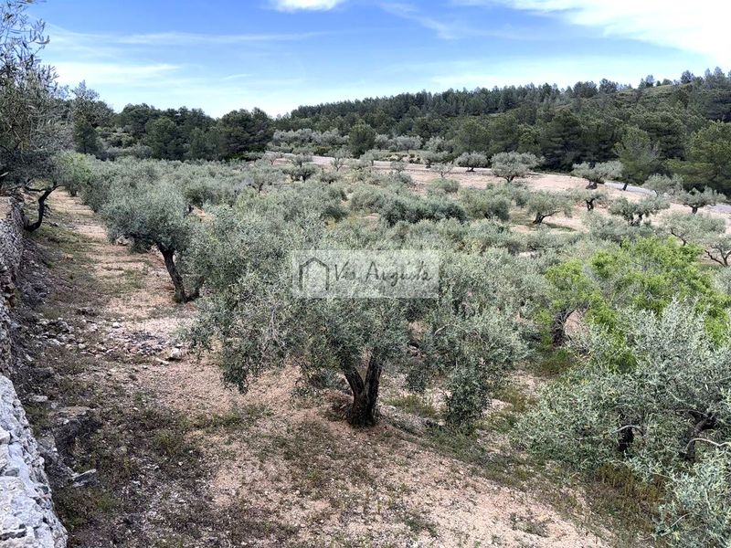 Foto d9eaeaf2-7ac4-4014-b04f-ed3fa10ee5ae. Masia a Bítem Tortosa