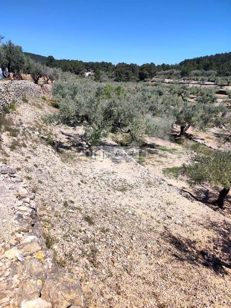 Foto dbc66317-f37f-4207-9266-2278dc9b58b4. Masia a Bítem Tortosa