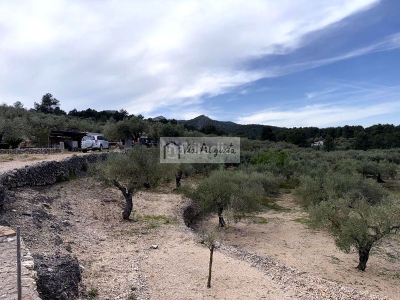 Foto e7ababc8-cb83-402c-ae7f-3d07081a6fda. Masia a Bítem Tortosa