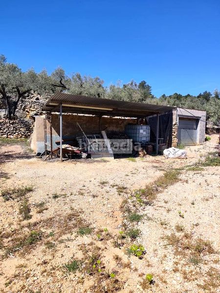 Foto e9b960d5-1698-46eb-8d2a-f89bed96c328. Masia a Bítem Tortosa