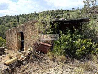 Fondo rustico  Masets