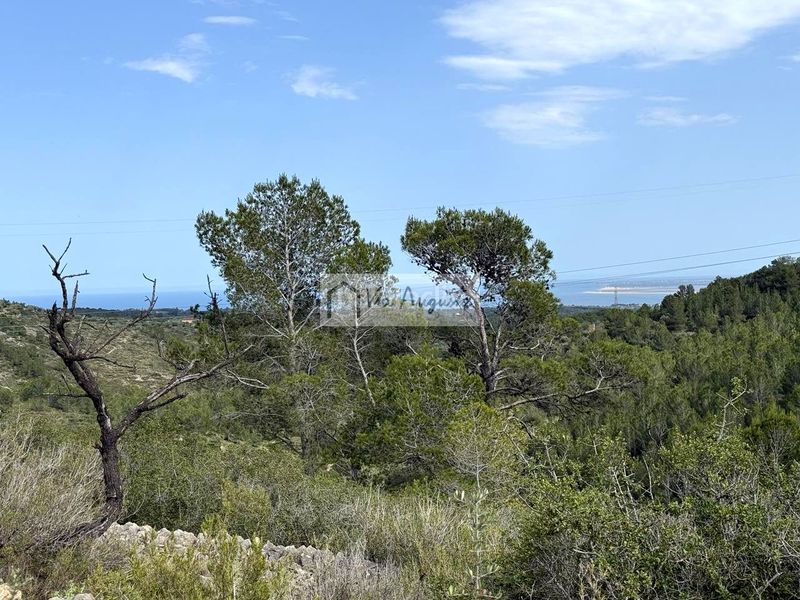 Foto 00d50131-4450-4c77-967e-02bc0c87f231. Finca rústica a Perelló (El)