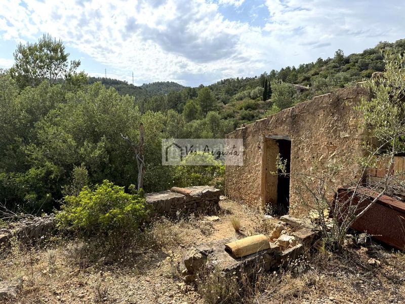 Foto 110aa9fe-043b-4605-9aa7-e21ce62b7e4f. Finca rústica a Perelló (El)