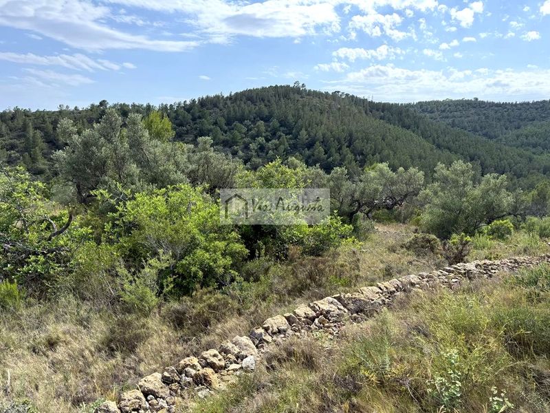 Foto 4f5b252c-4987-4776-b2b3-5cd7c0e339ed. Finca rústica a Perelló (El)