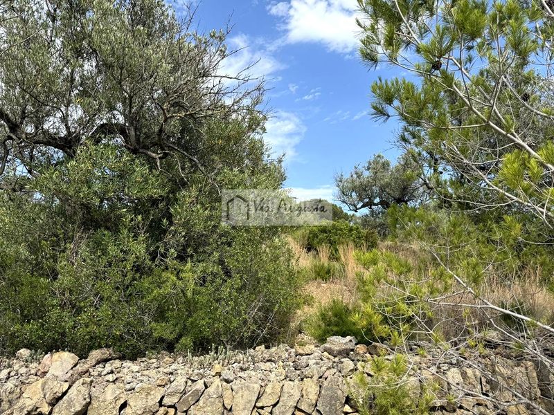 Foto 785a152a-76c7-451a-ac57-c867a738e4ae. Finca rústica a Perelló (El)
