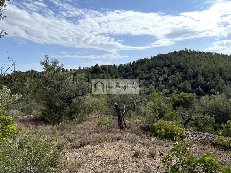 Foto c162a627-ff0b-4d18-9c14-5a023b6961f0. Finca rústica a Perelló (El)