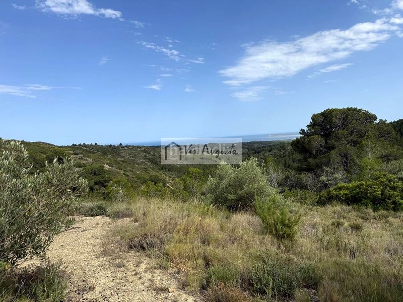 Foto c7f55807-01b9-4f2f-82fc-445903f52585. Finca rústica a Perelló (El)