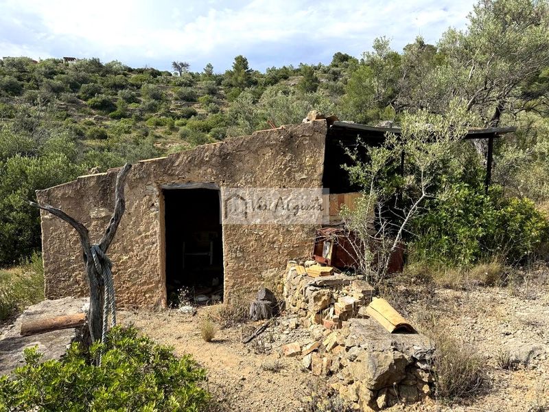 Foto cf544969-00bd-469b-9fc0-3f9ca766bfa2. Finca rústica a Perelló (El)