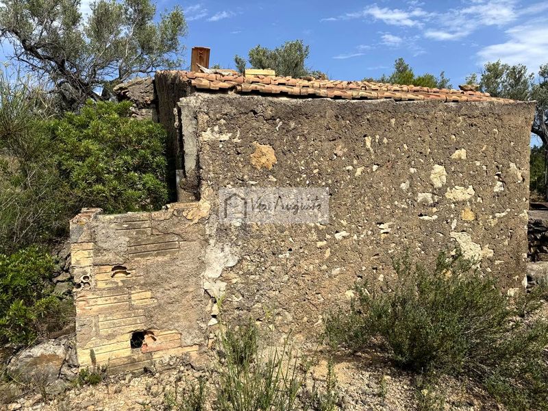 Foto db4cdf31-c546-4d84-8dcd-3edf730c3058. Finca rústica a Perelló (El)