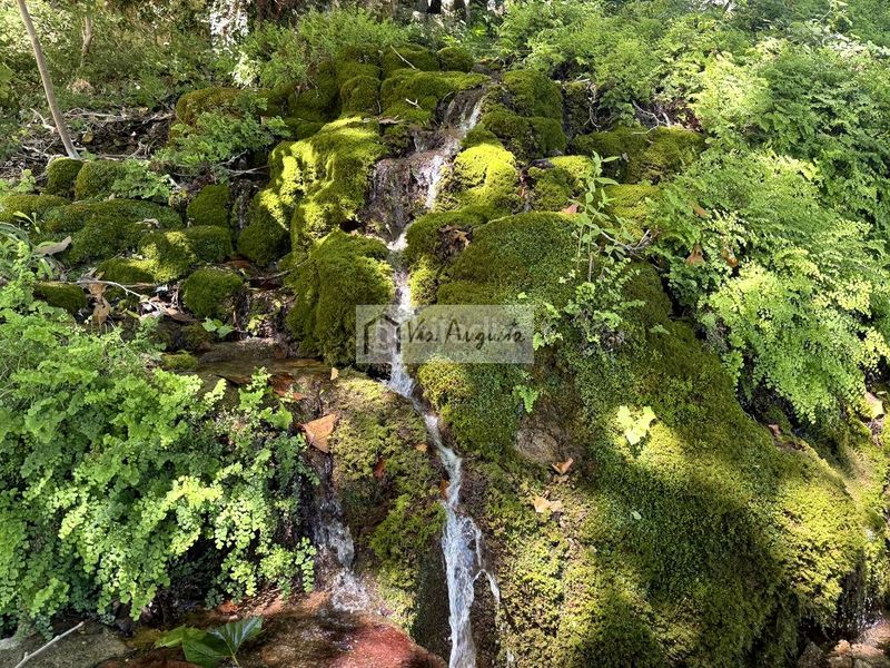 Foto b602051b-1a3f-44ef-b2c8-19b63e76a328. Casa a Alfara de Carles
