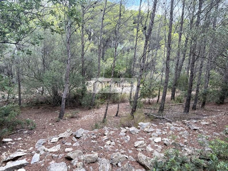 Foto 244009e0-5c2a-4088-a40b-22f3e1e2ce92. Finca rústica en Roques Daurades-L´Estany Ametlla de Mar (L´)