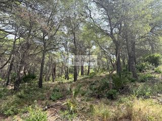 Finca rústica en Racons