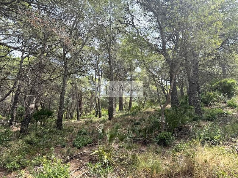 Foto 2817fd37-ffe9-485d-a942-b1f6ade85228. Finca rústica en Roques Daurades-L´Estany Ametlla de Mar (L´)