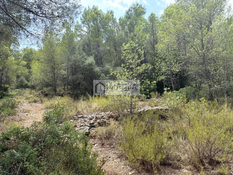 Foto 462d424a-53ef-4560-8aba-ef7596fa43f2. Finca rústica en Roques Daurades-L´Estany Ametlla de Mar (L´)
