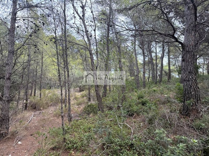 Foto 56150356-3c8d-4f40-8fab-c6c6e5c23049. Finca rústica en Roques Daurades-L´Estany Ametlla de Mar (L´)