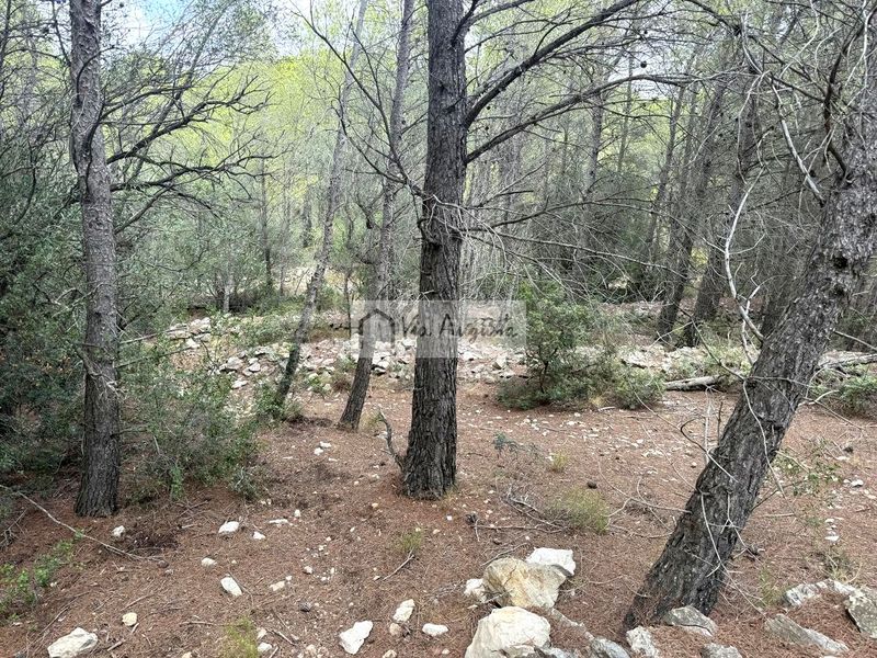 Foto 5dc95d05-ae6d-4821-8f00-c48e50fdfb61. Finca rústica en Roques Daurades-L´Estany Ametlla de Mar (L´)