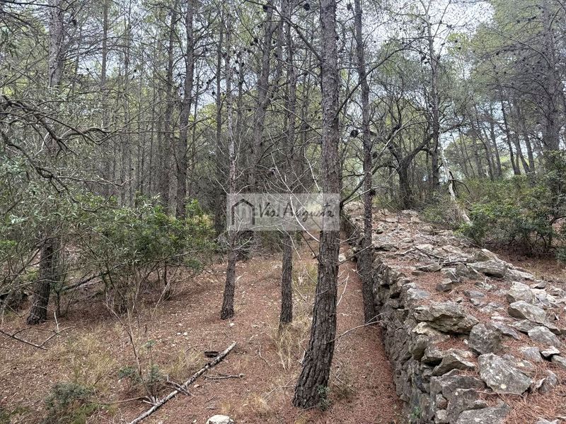 Foto 826dcebc-0b57-441e-b064-179fcfb0eaec. Finca rústica en Roques Daurades-L´Estany Ametlla de Mar (L´)