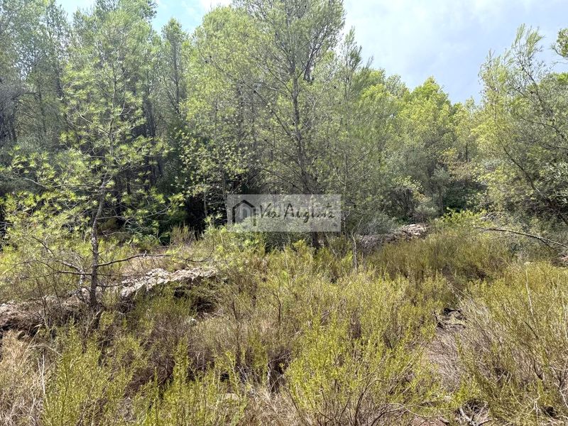 Foto 890aca18-c9b4-4e89-a0b0-97db0bc0b41f. Finca rústica en Roques Daurades-L´Estany Ametlla de Mar (L´)