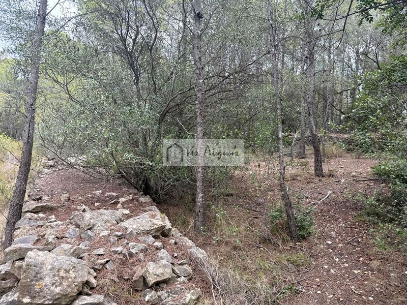 Foto a1c37f04-7b68-4666-9fa9-80a7fca28f18. Finca rústica en Roques Daurades-L´Estany Ametlla de Mar (L´)