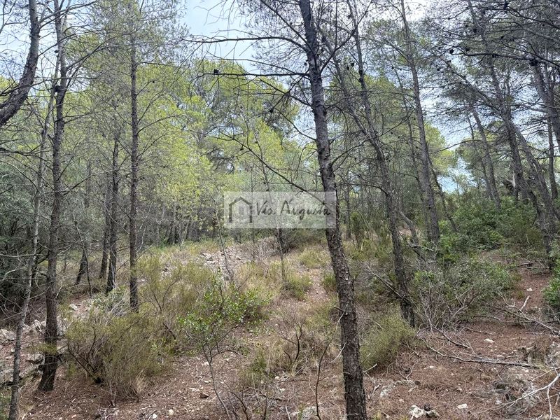 Foto cfa83f06-c9e7-43d2-9023-afc09fcce023. Finca rústica en Roques Daurades-L´Estany Ametlla de Mar (L´)