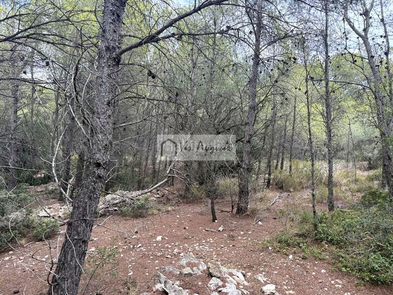 Foto d637c069-c96b-4935-93aa-f9d46009120a. Finca rústica en Roques Daurades-L´Estany Ametlla de Mar (L´)