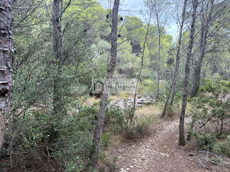 Foto f925395c-1ea6-416e-8154-899dbf604273. Finca rústica en Roques Daurades-L´Estany Ametlla de Mar (L´)