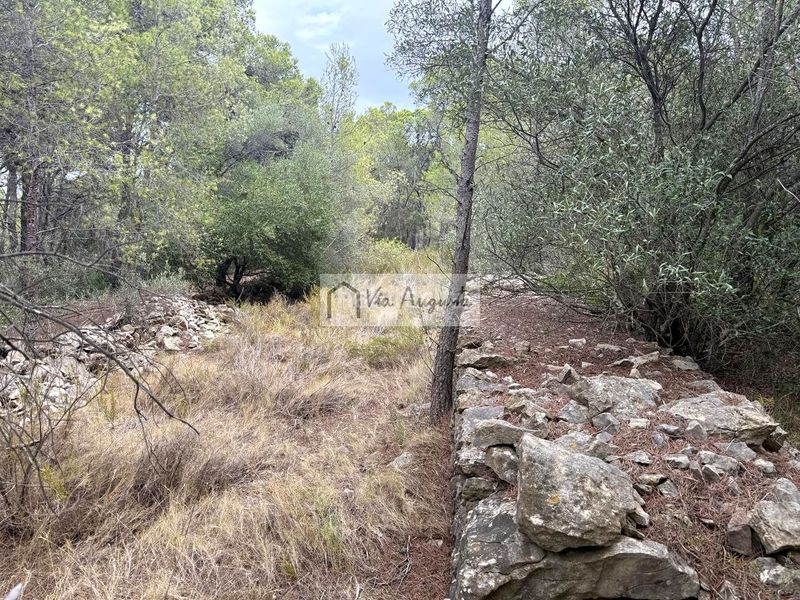 Foto fed7aba4-08ca-4693-9b6c-28164f3f2d9e. Finca rústica en Roques Daurades-L´Estany Ametlla de Mar (L´)