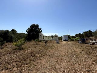 Rural plot in Serramoca