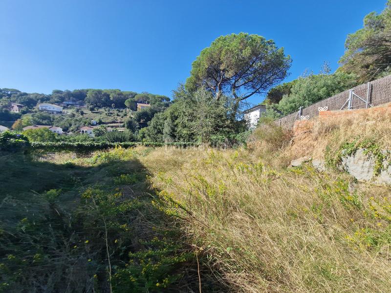 Foto 2559b2cb-f574-4b0d-b349-4675154eba6c. Xalet amb calefacció aparcament a Sant Pere de Vilamajor