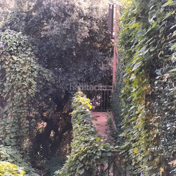 Foto ff808494-ee44-4068-8c70-d50d9f5e5987. Casa amb aparcament a Can Massuet del Far Dosrius