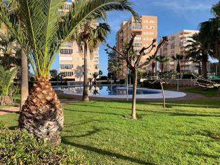 Lloguer Apartament a Els Terrers. Apartamento en alquiler en escuela de vela, 1 dormitorio.