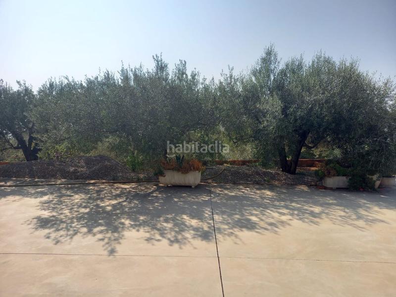 Foto 242df8f9-c254-498a-8a1e-33eab3378513. Wohngrundstück in Onda