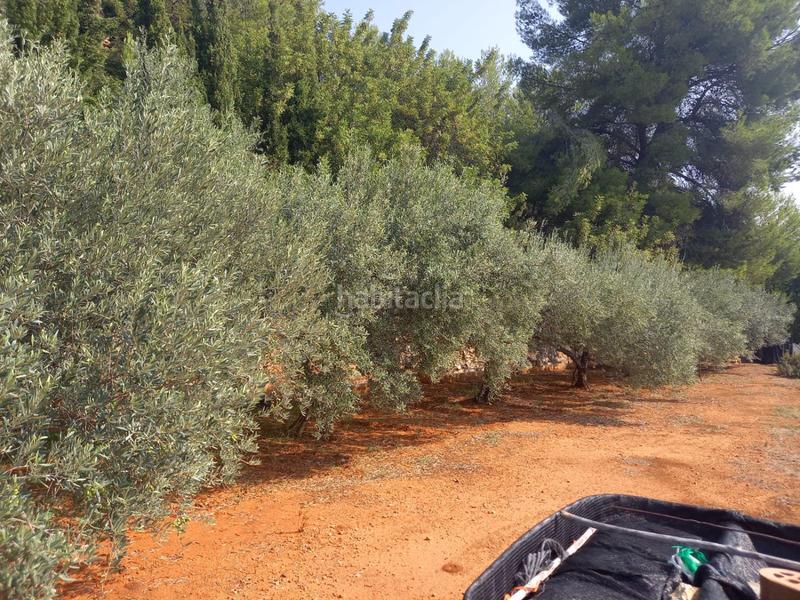 Foto 69774e96-099f-4127-86ff-98f70cf52893. Wohngrundstück in Onda