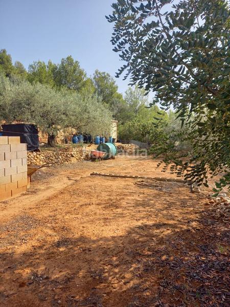 Foto 8d1a0e92-5277-4bbc-9a5c-ac6234d920cf. Wohngrundstück in Onda