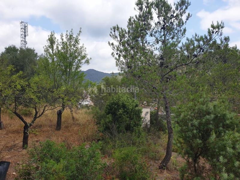 Foto 1515d474-d008-4a0a-9197-6ae75da7399b. Bauernhof in Alcudia de Veo