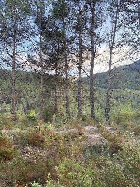 Foto 1ba96b43-28e1-4263-b7a9-097388c5bddd. Bauernhof in Alcudia de Veo