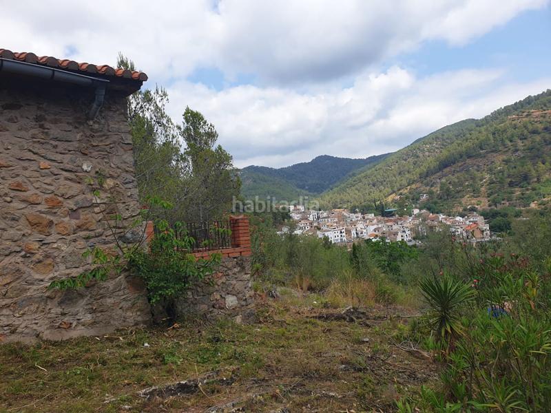 Foto cfb64851-4019-4777-a5ba-1c1bec258b48. Bauernhof in Alcudia de Veo