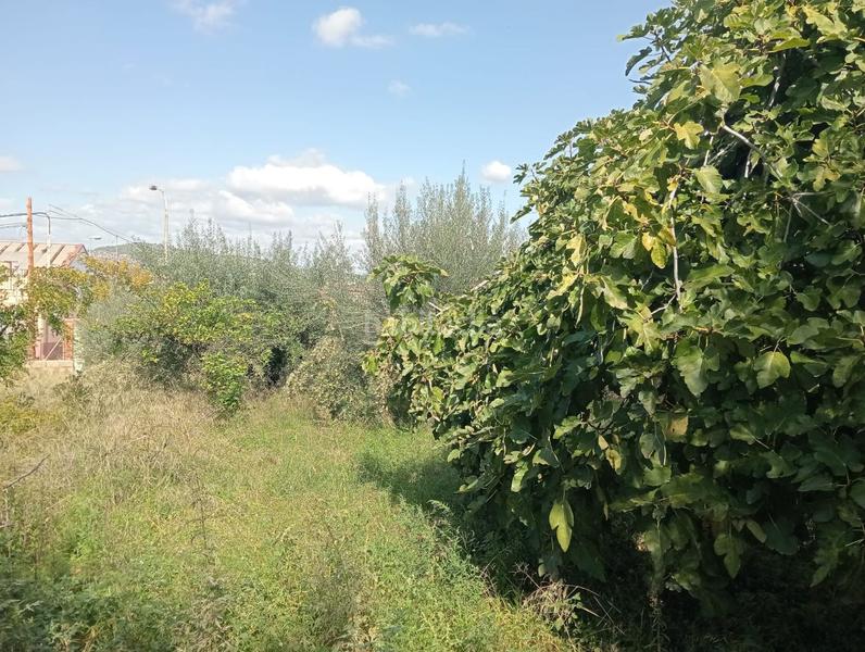 Foto 54e349e9-f470-4560-a8df-45afe92c991f. Xalet amb aparcament a Onda