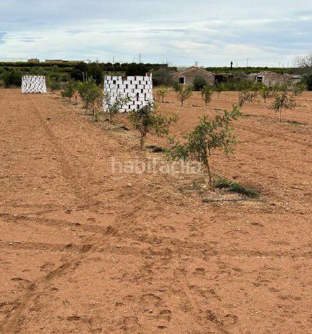 Foto e155d4e7-86f8-4f67-ae41-abfcdf2b415b. Masia a Onda