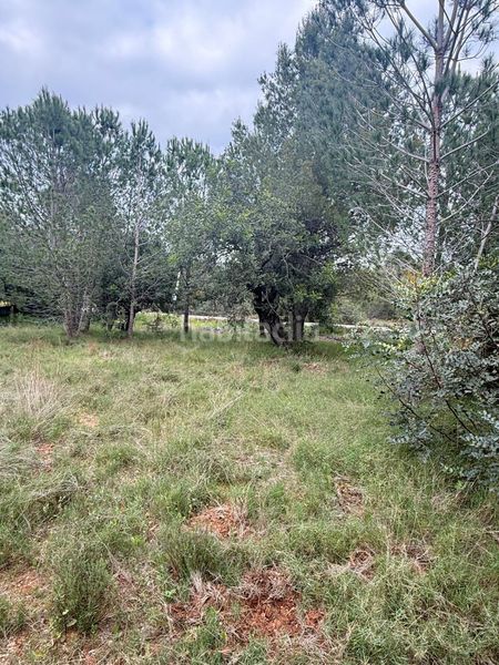 Foto a120d111-e008-4428-a119-ec682fd62c0a. Masia a Onda