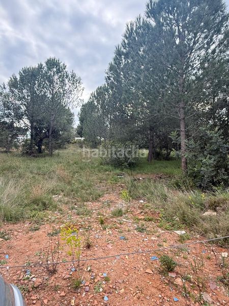 Foto a79516e0-7849-493d-b0fa-fbd960807e73. Masia a Onda