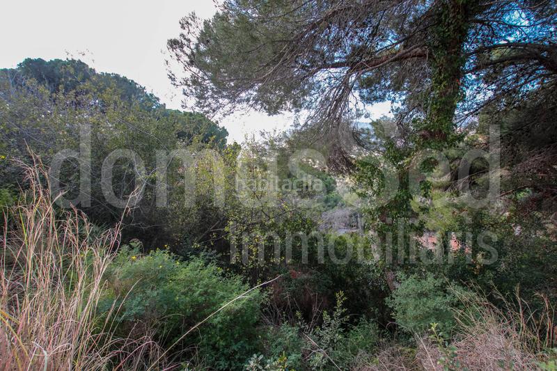 Foto 12217062-57c8-45f1-b785-0310f1cb5058. Terrain résidentiel dans Cabrils