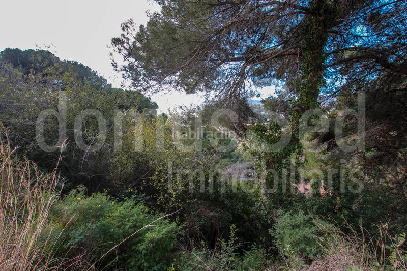 Foto a17c1353-3e09-4ea7-8881-10ea54a55098. Terrain résidentiel dans Cabrils