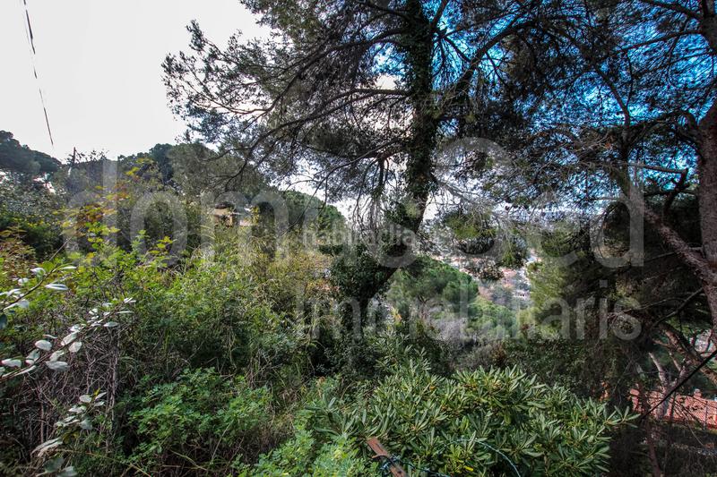 Foto a931044f-3c04-4a5d-b68a-30d29c799499. Terrain résidentiel dans Cabrils