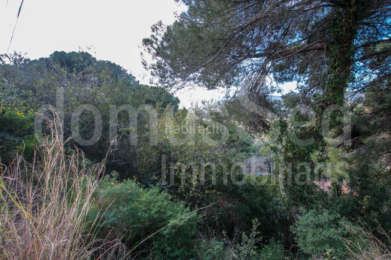 Foto fb7f6bc5-38b0-4464-9e88-d6c8ff6ad907. Terrain résidentiel dans Cabrils