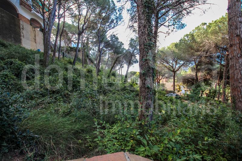 Foto 1976d1bd-8d0d-4a1e-bc97-9bd5b8871876. Terrain résidentiel dans Cabrils