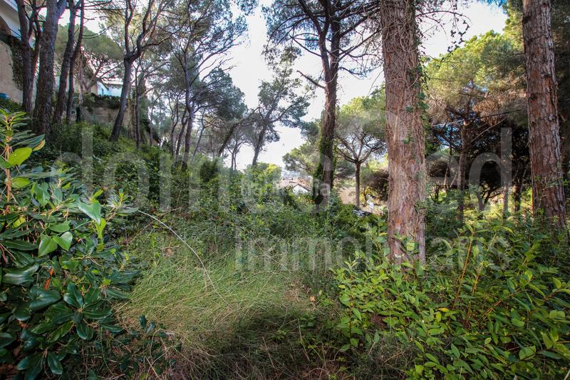 Foto 31b5df8d-a5db-4822-8e68-585d8e49ad5f. Terrain résidentiel dans Cabrils