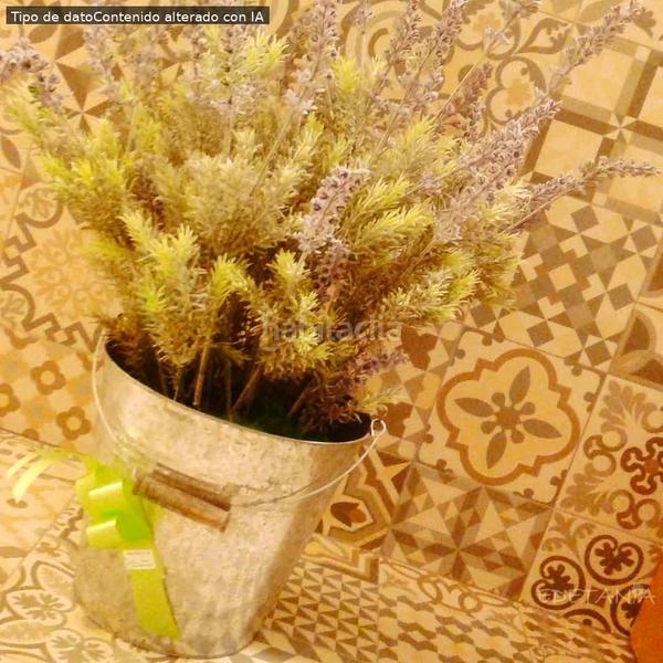 Foto 59eb2e22-779c-4ecc-a0d2-72e7de804f50. Lloguer local comercial a Moncada